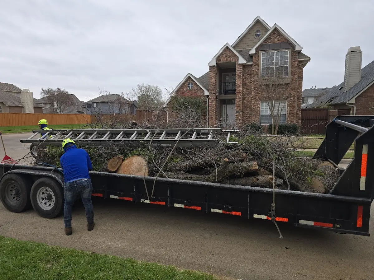 Expert Tree Fertilization with proper safety equipment in Grand Marsh